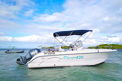 Ocqueteau Olympio 630