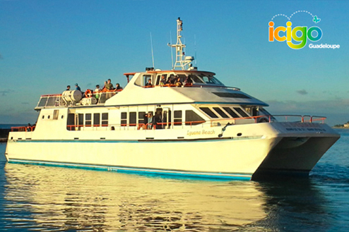 Cliquez pour prévisualiser l'image Traversier