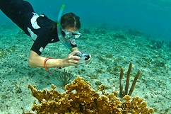 Hiking Palme Snorkel Mask - Port Louis