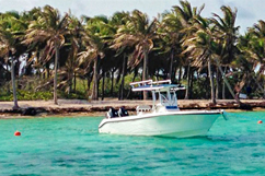 Excursion Petite-Terre