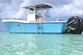 Bateau Guadeloupe Pêche Sportive