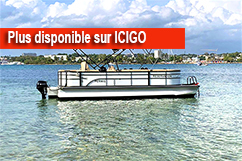 Ponton flottant