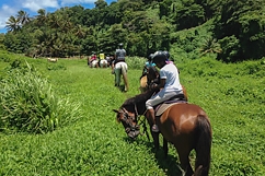 randonnée à cheval Grande Pointe, Trois Rivières