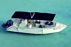 Butterfly boat