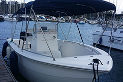 Location bateau moteur gosier