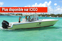 Butterfly - Bateau rapide
