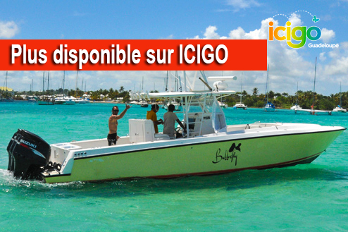 Cliquez pour prévisualiser l'image Butterfly - Bateau rapide