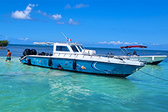 Le bateau