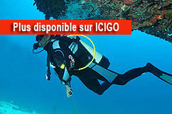 Plongée Port Louis