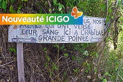 Testimony Habitat Grande Pointe
