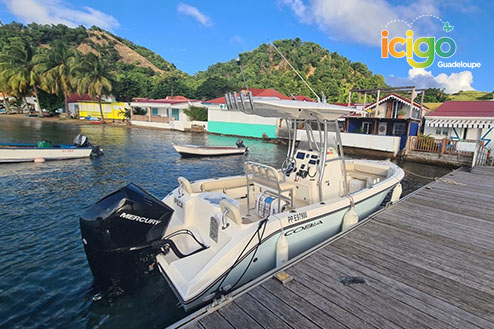 Cliquez pour prévisualiser l'image Bateau Open Cobia