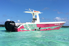 Bateau Poul&#039;do