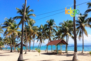 La D&eacute;sirade n'aura plus aucun secret pour gr&acirc;ce &agrave; cette excursion...