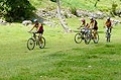 VTT 971