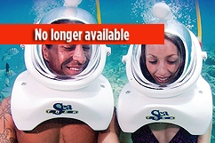 immersion with scuba