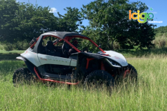 Buggy