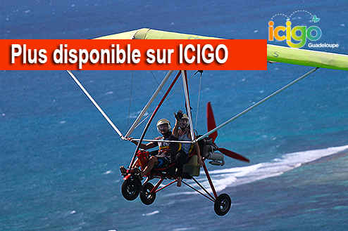 Cliquez pour prévisualiser l'image Vol pendulaire