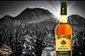 Rhum Bologne