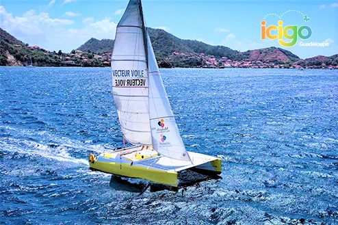 Cliquez pour prévisualiser l'image Catamaran Les Saintes