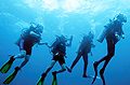La Dive