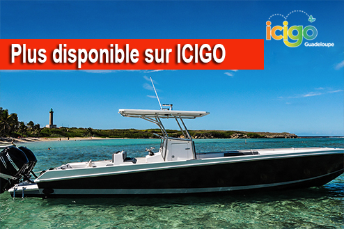 Cliquez pour prévisualiser l'image Fish'on