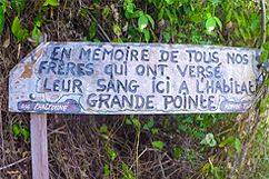 Temoignage Habitat Grande Pointe