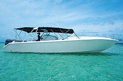 Speed boat excursion La Désirade avec guide local