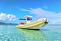 Excursion pédagogique en mangrove