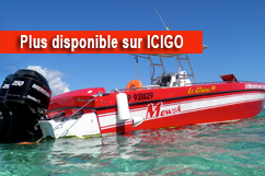 Bateau cigarette à louer - 12 pers max