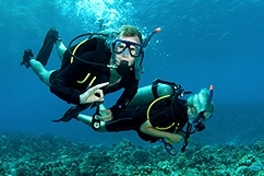 Plongée PADI - Pointe Noire