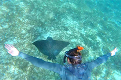 snorkeling