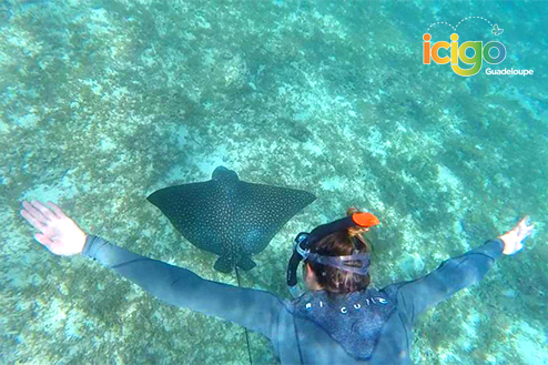 Cliquez pour prévisualiser l'image snorkeling