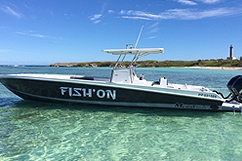 Fish&#039;on boat