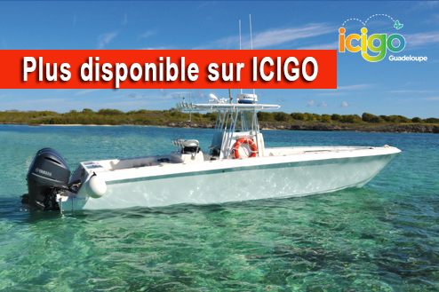 Cliquez pour prévisualiser l'image Bateau Big Game