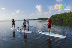 Excursion kayak avec guide