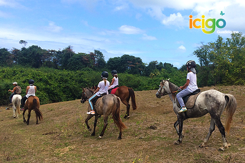 randonnee cheval deshaies