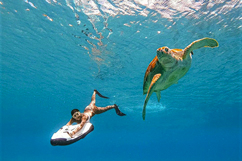 Location Seabob Guadeloupe