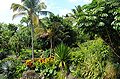 Les Jardins de St-Eloi