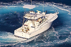 Captain Tony B