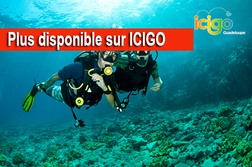 Cliquez pour prévisualiser l'image Baptême de plongée - Pointe Noire