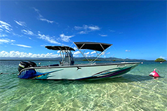 Le bateau