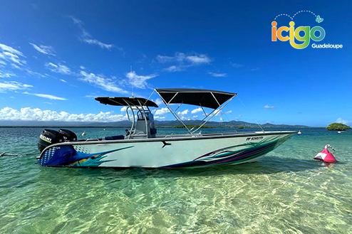 Cliquez pour prévisualiser l'image Le bateau