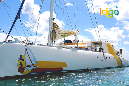 Cliquez pour prévisualiser l'image Le catamaran