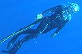 Guadeloupe Aventure