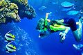 Guadeloupe Aventure
