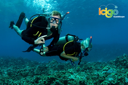 Baptême réserve Cousteau