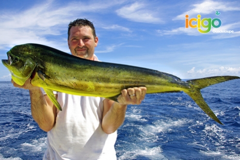 Pêche au gros