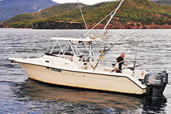 bateau - Pêche au gros