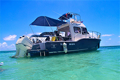 Le bateau de l'excursion