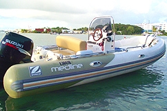 Zodiac Medline